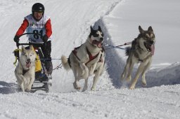 Kandersteg 2013